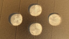 REMKO VAN DER AUWERA