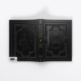 REMKO VAN DER AUWERA