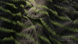 REMKO VAN DER AUWERA