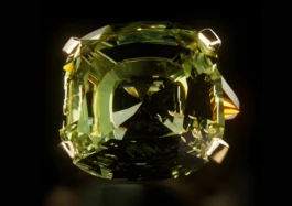 REMKO VAN DER AUWERA